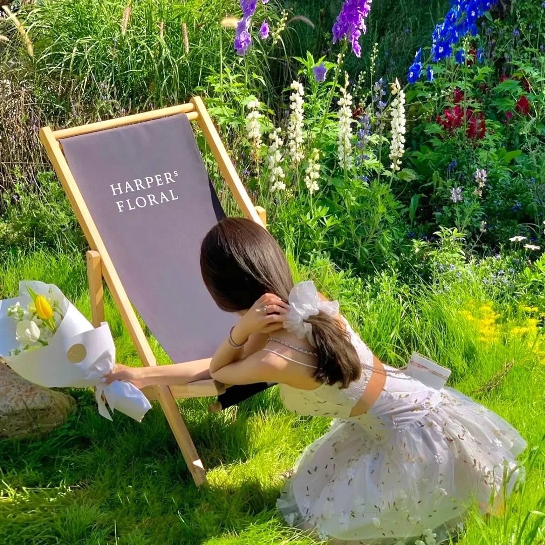 维也纳血案第二季